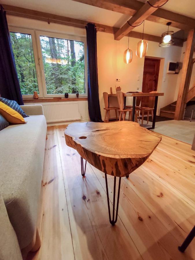 Villa Konwaliowe Zacisze - Chillout W Lesnej Aurze Wilga Exterior foto